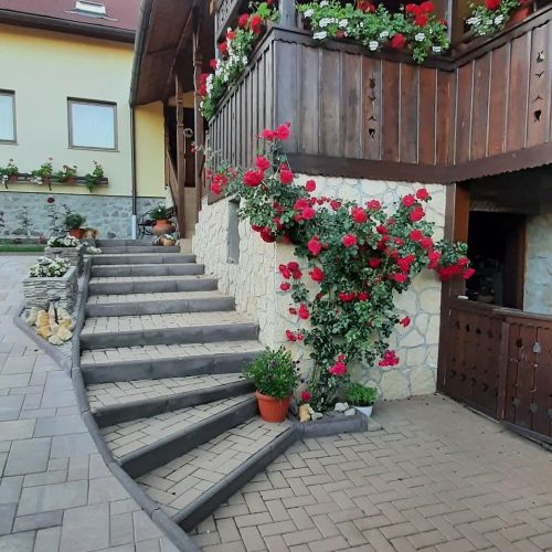 Casa de oaspeți Cifra Sâncraiu – Sâncraiu, România