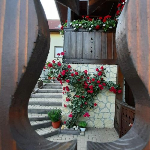 Casa de oaspeți Cifra Sâncraiu – Sâncraiu, România