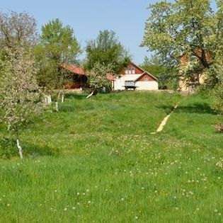 Pensiunea Zamolxe Sarmizegetusa – Sarmizegetusa, România