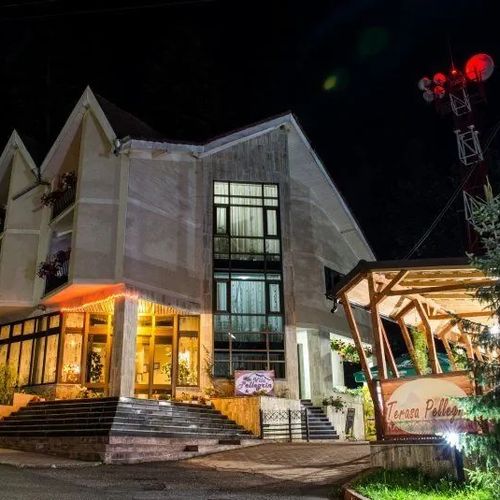 Vila Pellegrin Durău