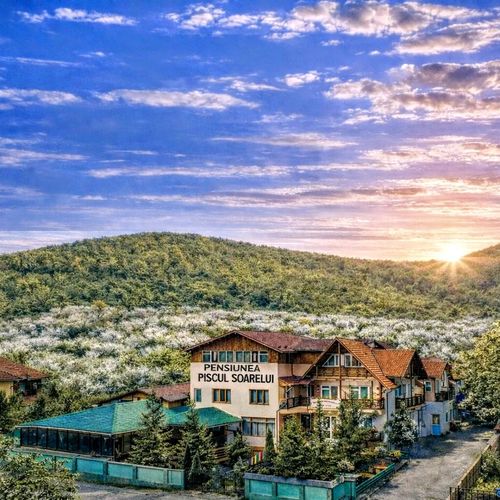 Pensiunea Agroturistica Piscul Soarelui Câmpulung