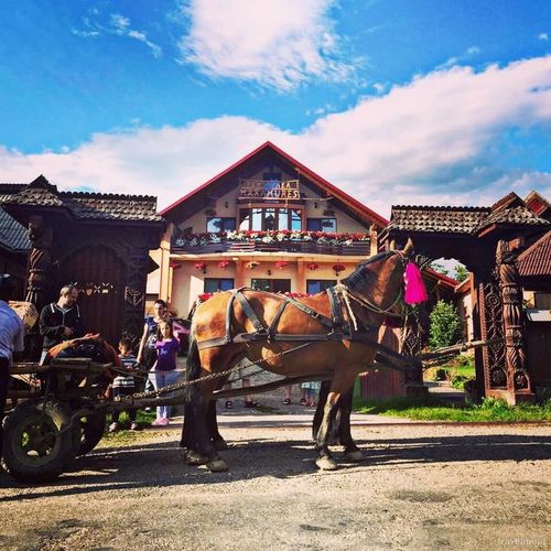 Pensiunea Maramureș Hoteni