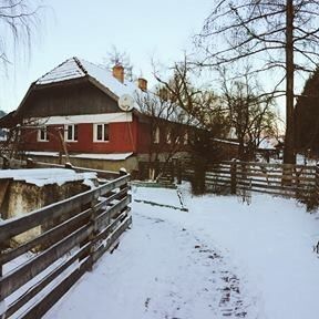 Pensiunea Casa Ott Prisaca Dornei