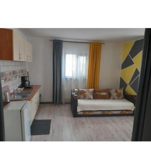 Vila Davison Târgu Jiu – Târgu Jiu, România