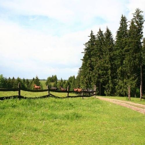 Pensiunea Sopárkút Băile Homorod – Băile Homorod, România