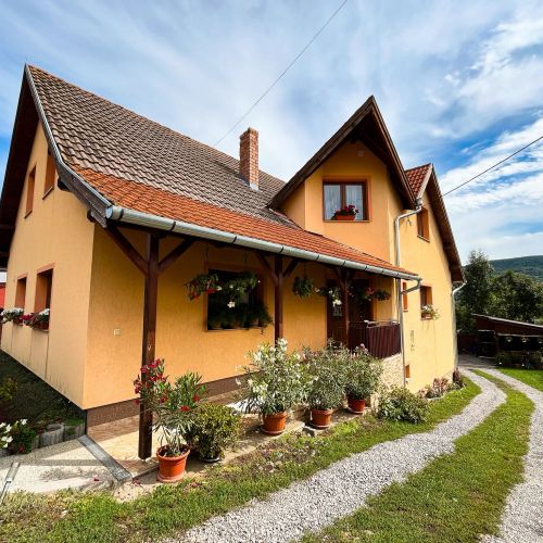 Casa de oaspeți Gergely Zetea