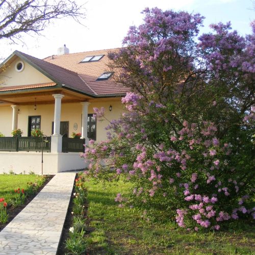 Pensiunea Kék Iringó Stana