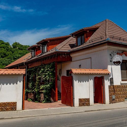 Casa Steluța Sighișoara