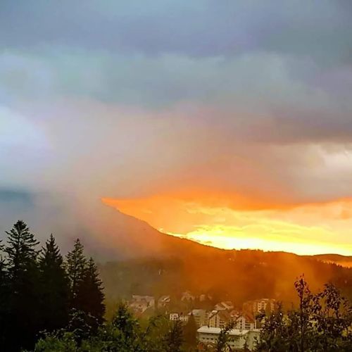 Camere de Închiriat Fantasy Predeal