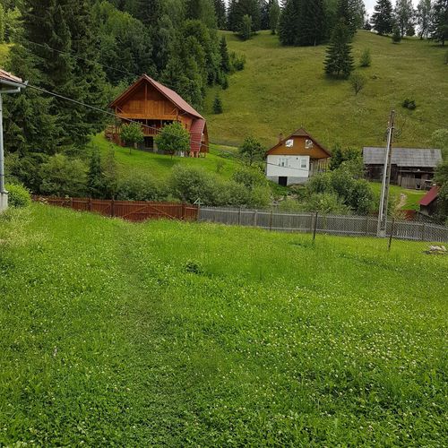 Casa de oaspeți Clopoṭel Bolovăniș – Bolovăniș, România