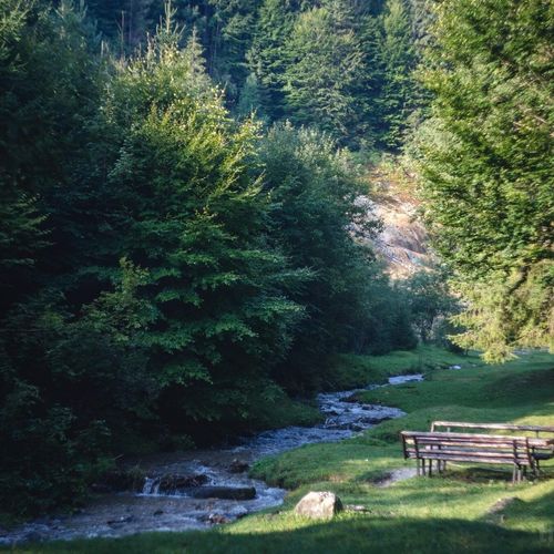 Gospodăria Lui Nea Ion Vama Buzăului – Vama Buzăului, România