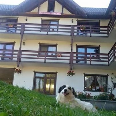 Pensiunea Casa Georgiana și Gabriel Poiana Mărului – Poiana Mărului, România