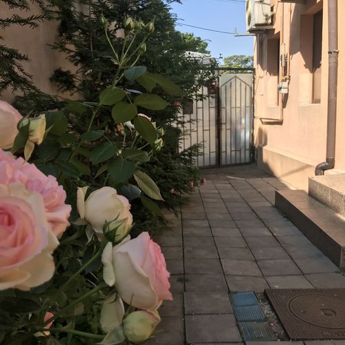 Bucharest Center Villa București – București, România