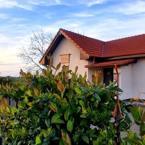 Pensiunea Spune-mi o poveste Lazuri