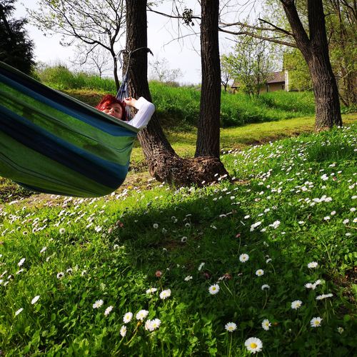 Cabana Căsuța Măgura Poiana Măgura – Poiana Măgura, România