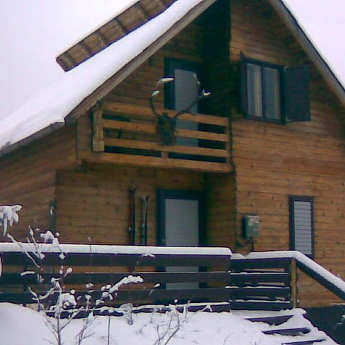 Cabana Brăduț Borșa