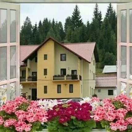 Pensiunea Flori de Bucovina Pojorâta