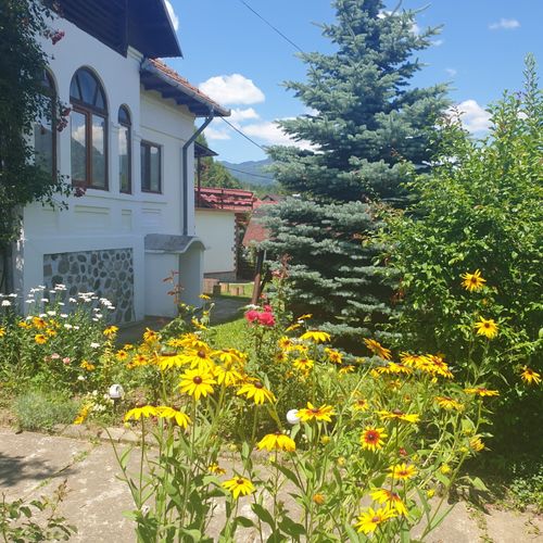 Pensiunea Casa Mădălina Corbeni