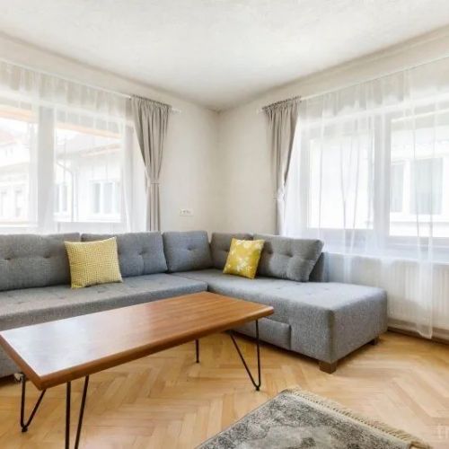 Aki Gray Apartment Brașov