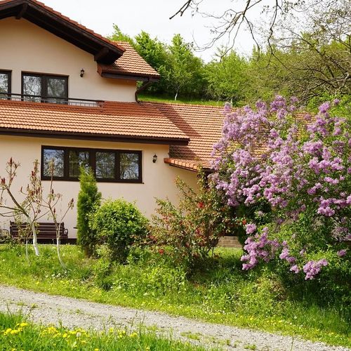 Pensiunea Ioana Poieni