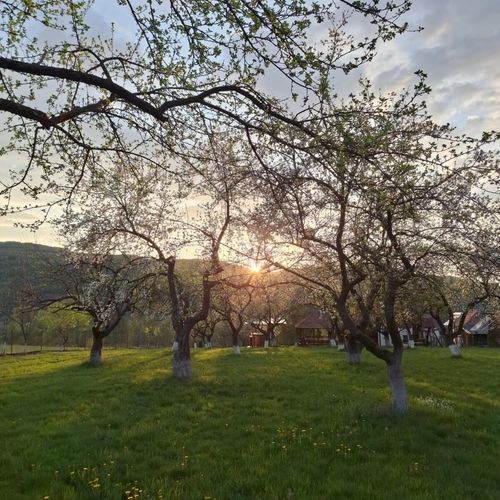 Pensiunea Agroturistică Ica Valea Drăganului – Valea Drăganului, România