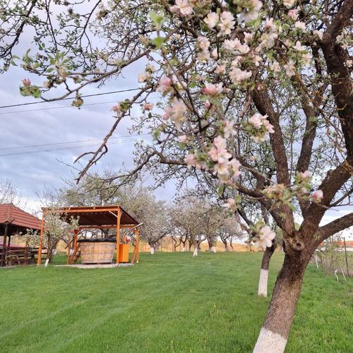 Pensiunea Agroturistică Ica Valea Drăganului – Valea Drăganului, România