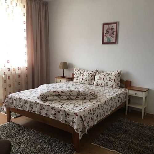 Pensiunea Paleu Bicazu Ardelean