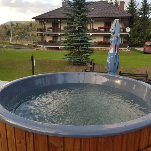 Pensiunea Irina Vama