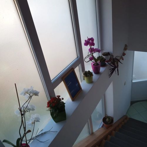 Casa Judith Turda