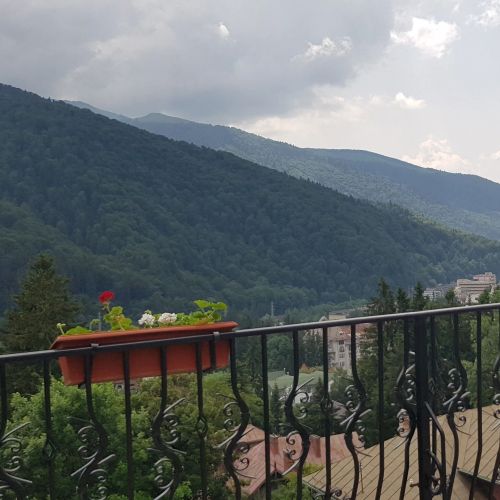 Pensiunea TvCondor Sinaia – Sinaia, Rumunia