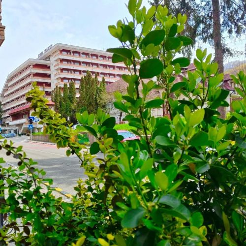 Hotel Olănești Băile Olănești – Băile Olăneşti, România