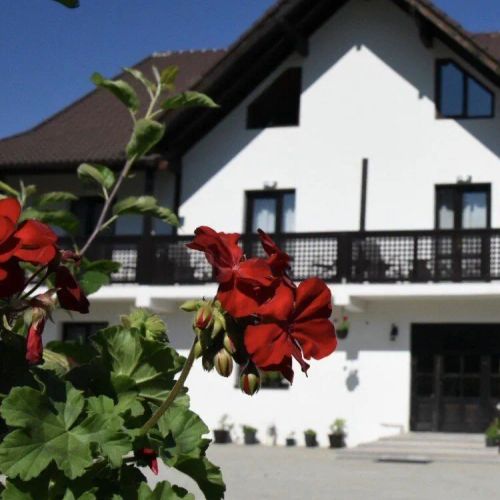 Casa Poienarilor Stațiunea Climaterică Sâmbăta