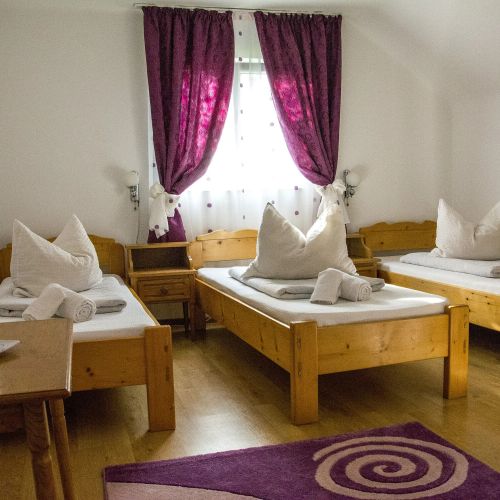 Pensiunea Mariana Ocna Șugatag – Ocna Şugatag, România
