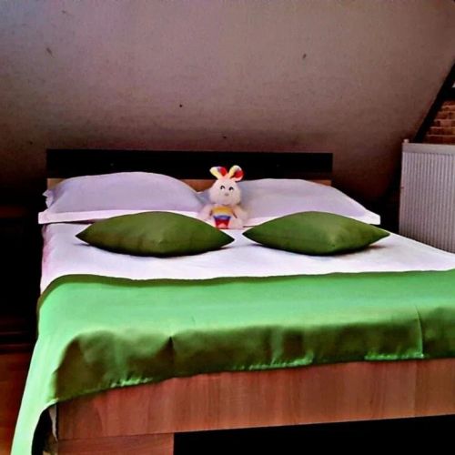 Pensiunea Micutul Vrajitor Arefu – Arefu, România