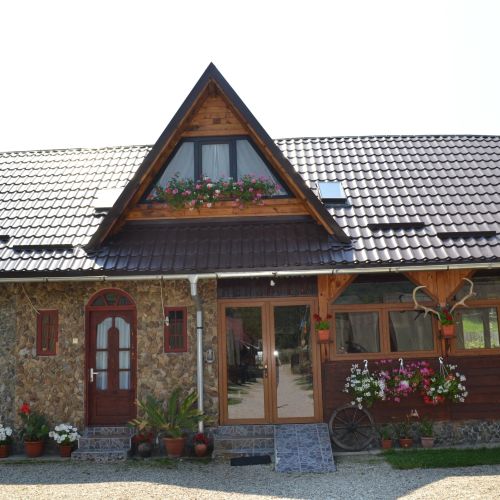 Pensiunea Micutul Vrajitor Arefu – Arefu, România