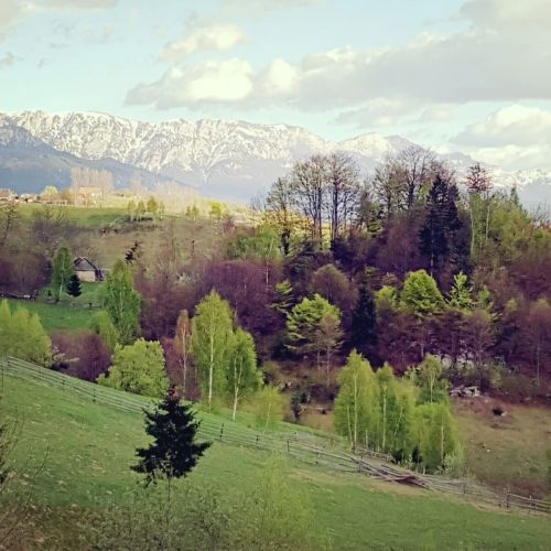 Casa de la Muntele Craiului Măgura – Măgura, România