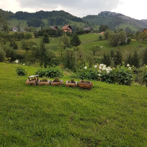 Casa de la Muntele Craiului Măgura – Măgura, România
