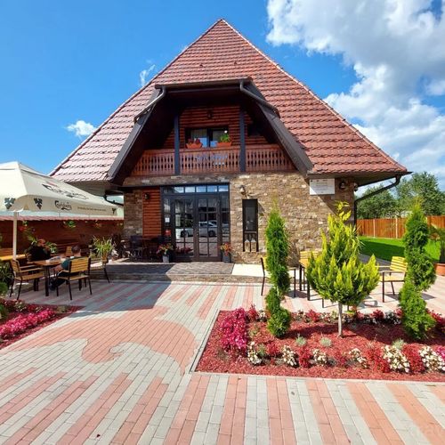 Pensiunea Piatra Șoimului Vișeu de Sus