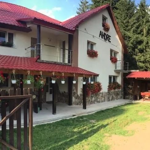 Casa de vacanță Andre Vârtop