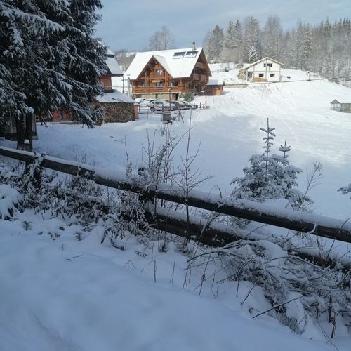 Pensiunea Rustic Ghețari