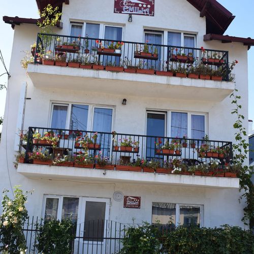 Vila Casa Emilia Vatra Dornei