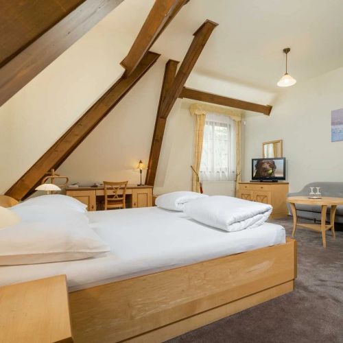 Hotel Zlatý Lev Jablonec nad Nisou – Jablonec nad Nisou, Republica Cehă