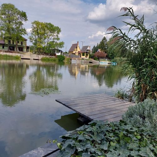 Rana Verde Zöld Béka Vendégház Békésszentandrás