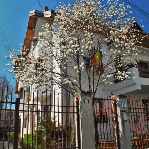 Pensiunea La Noblesse București