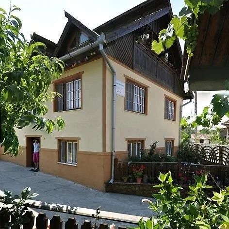 Pensiunea Iancu Sălașu de Sus