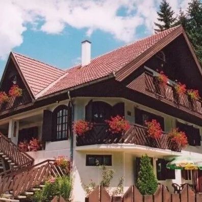 Pensiunea Muscata Borsec