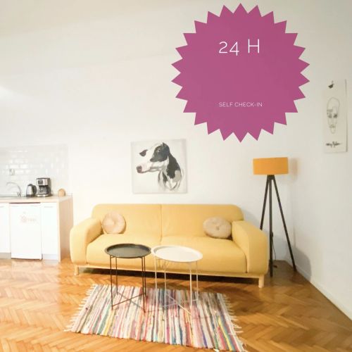 The Vintage Apartment Cluj-Napoca