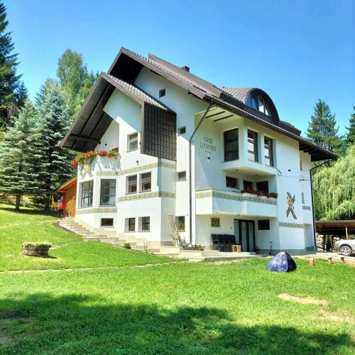 Pensiunea Casa Lucreția Vama