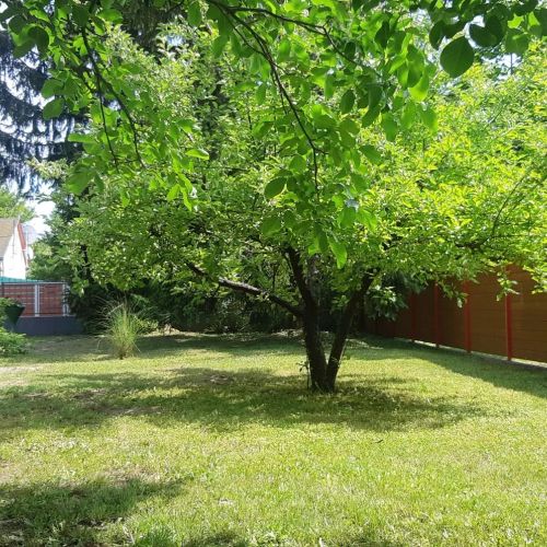 Schieszl House 3 Zamárdi – Zamárdi, Ungaria