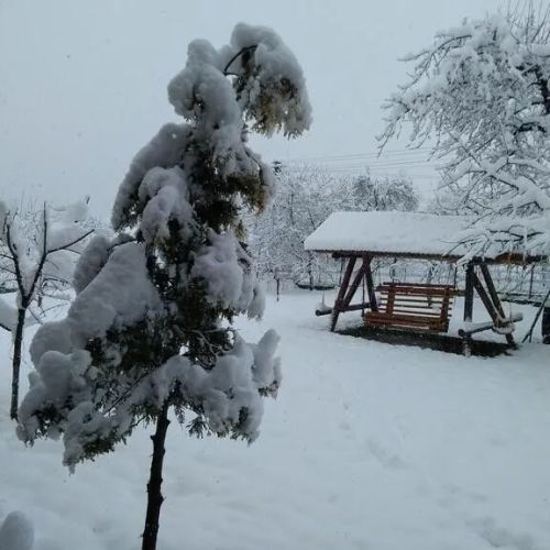 Pensiunea La Stejarel Bucșenești – Bucșenești, România